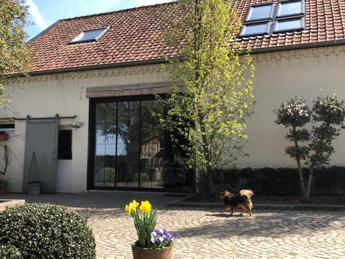 Welness Gastenverblijf Carpe Diem Opglabbeek Exterior foto